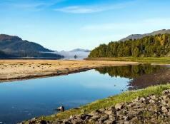 竞价账户优化托管新站如何快速排名？