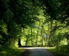 成人用品推广引流方法（做成人用品微商，怎么引流）